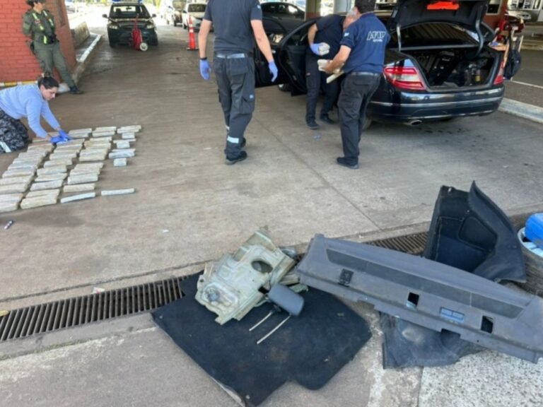 Triple Frontera: un perro descubrió un cargamento de marihuana valuado en 33 millones de pesos