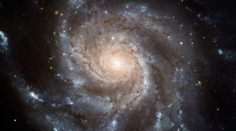 Un astrónomo amateur descubrió una supernova que estalló hace más de 20 millones de años