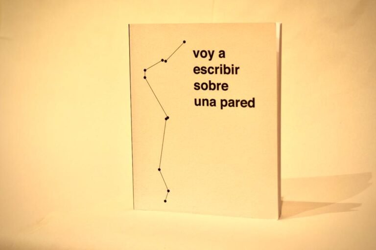 Presentan el libro “Voy a escribir sobre una pared”