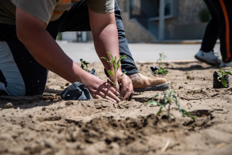 Avanza la plantación de especies nativas en espacios públicos