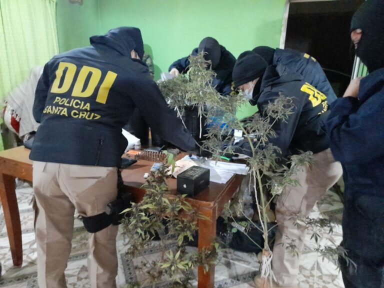 Secuestran 50 dosis de cocaína, marihuana y municiones