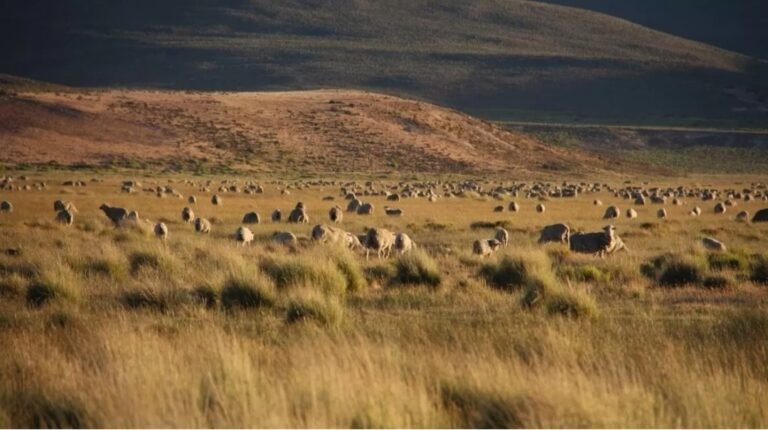 Encuentran a un peón rural sin vida