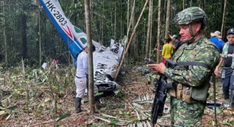 Tras 40 días aparecieron con vida los cuatro niños desaparecidos al estrellarse un avión