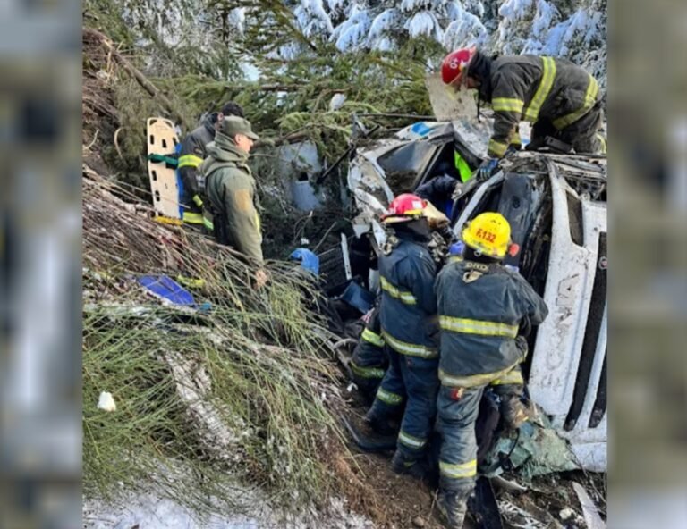 Un camión chileno desbarrancó y el conductor quedó atrapado en la cabina