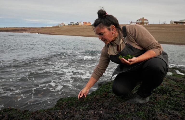 Volvió al pueblo de su infancia y transformó su casa en un restaurante