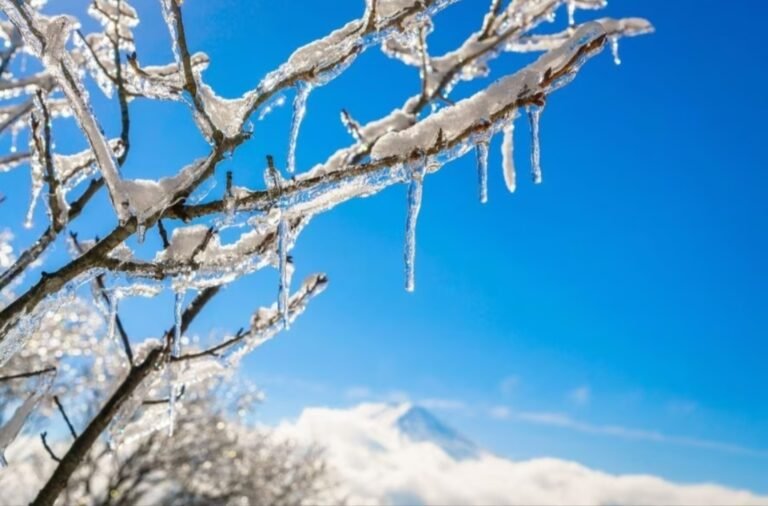 Solsticio de invierno 2023: ¿cuándo comienza?