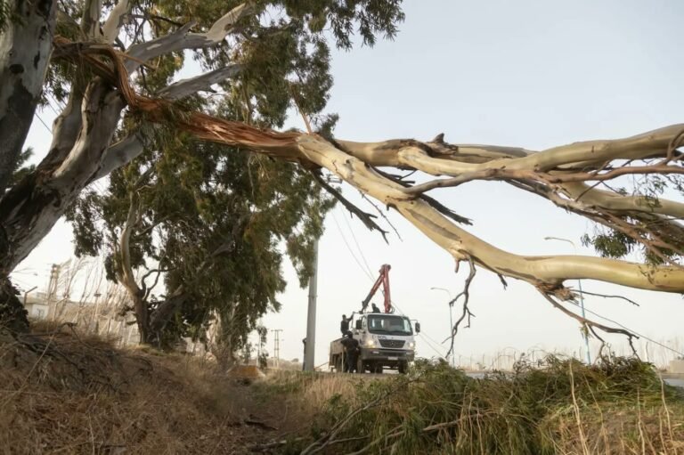 Anuncian asistencia para los damnificados por el temporal