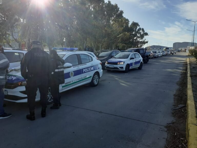 Encontraron dos armas y un cuchillo mientras realizaban controles