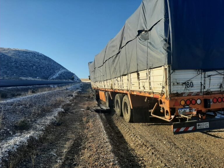 Camión esquivó un vehículo en la ruta y terminó en la banquina