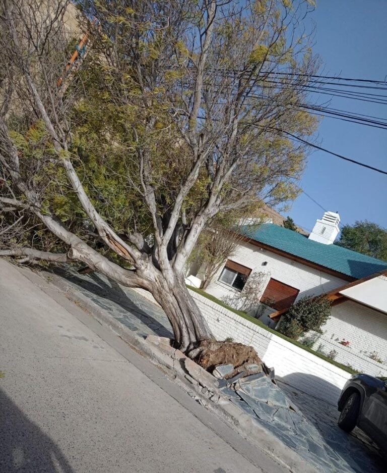 Vuelve el alerta naranja y se esperan ráfagas de 130 km/h