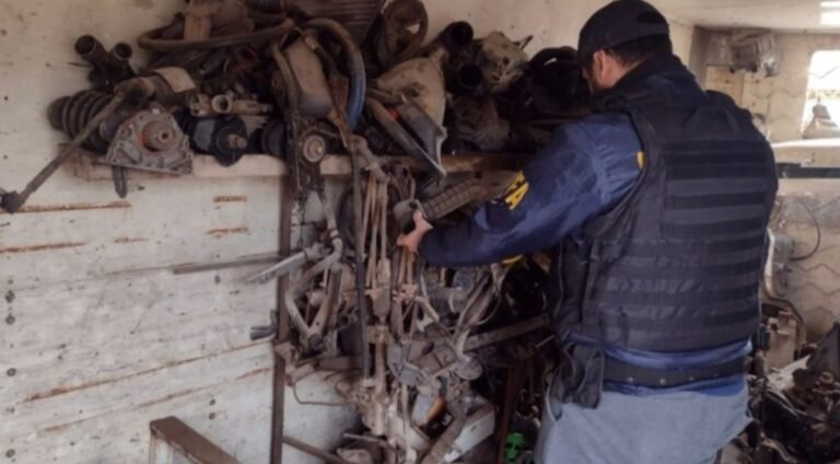 Allanaron cinco desarmaderos ilegales: seis imputados y 125 autos secuestrados