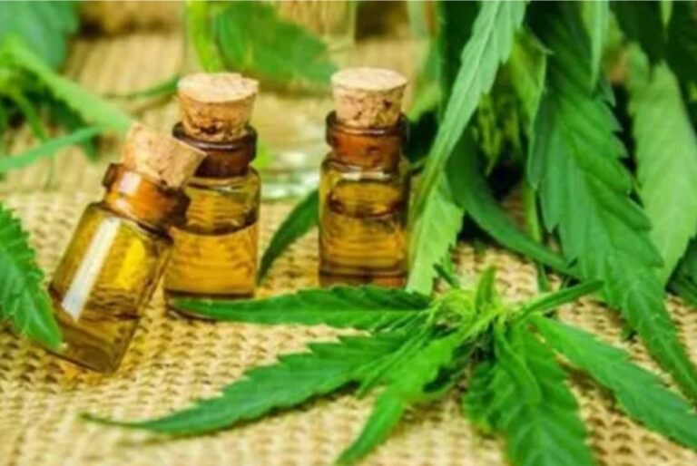 Organizan el primer encuentro provincial para el Desarrollo del Cannabis Medicinal