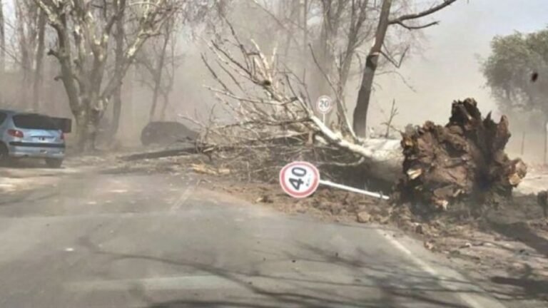 Murieron dos personas por fuertes ráfagas de viento Zonda