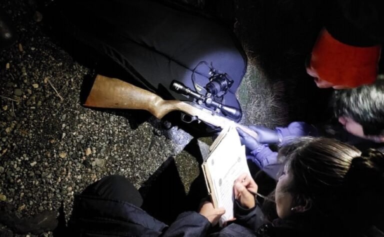 Cazador ilegal circulaba con un arma y 22 liebres en el baúl