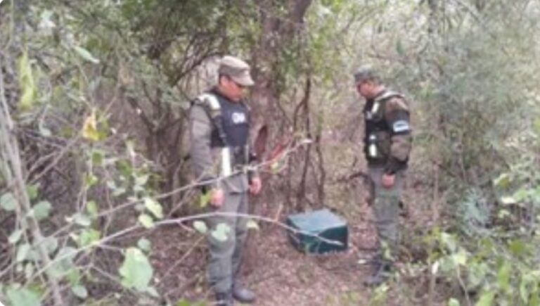 Hallaron 32 kilos más de cocaína a 60 metros de donde cayó la avioneta la semana pasada