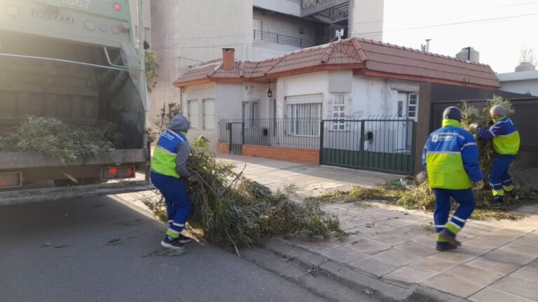 Urbana trabaja despejando la vía pública tras temporal de viento
