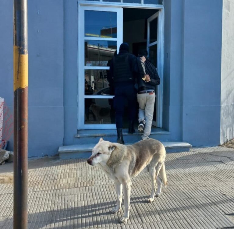 Empleados redujeron a un delincuente que intentó robar en un comercio