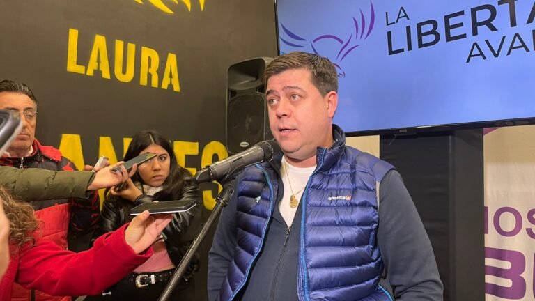 Treffinger, Loma Ávila y Glinski, los más votados a diputados nacionales