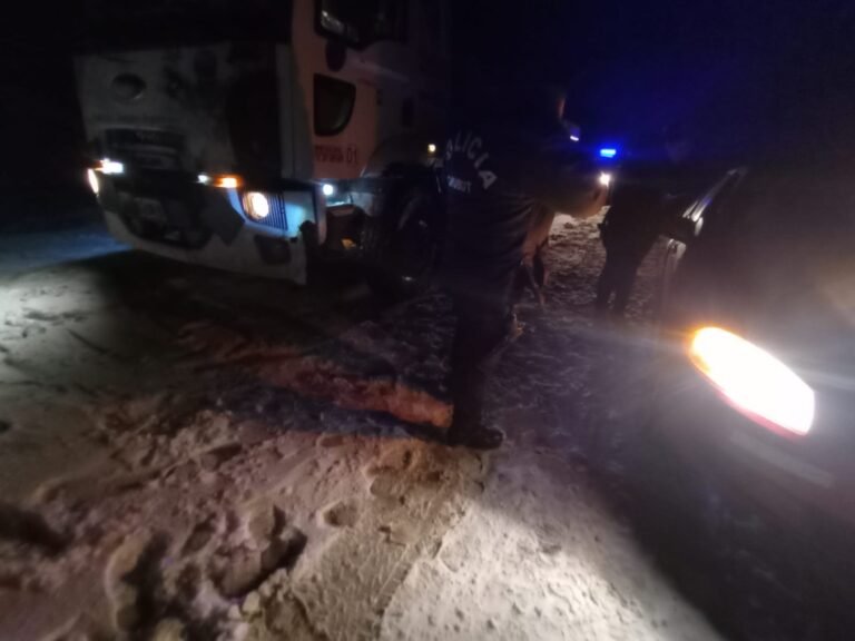 Rodado con una beba recién nacida a bordo, chocó contra un camión