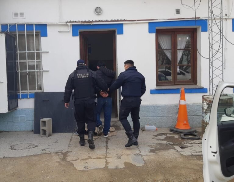 Golpeó a su pareja, agredió a un policía y terminó detenido