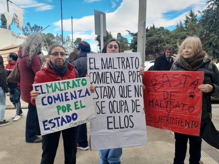 Maltrato animal: Formalizan imputación contra Barrientos, dueño de Duke