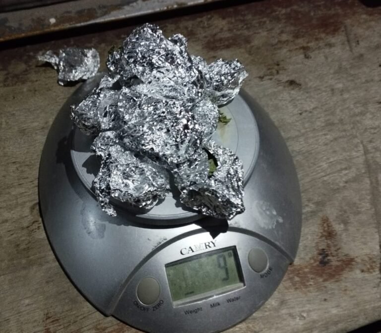 Lo detuvieron en la plaza con 31 dosis de LSD y marihuana