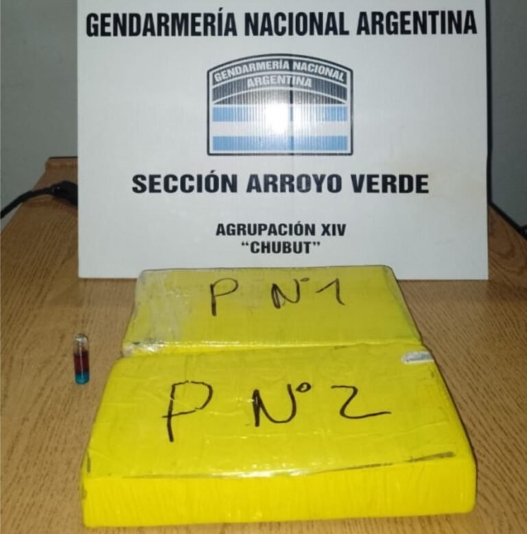 Transportaba dos kilos de cocaína adosados al cuerpo y debajo del asiento