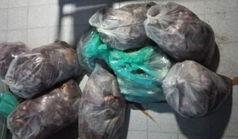 Incautaron más de 240 kilos de carne de guanaco en un control policial