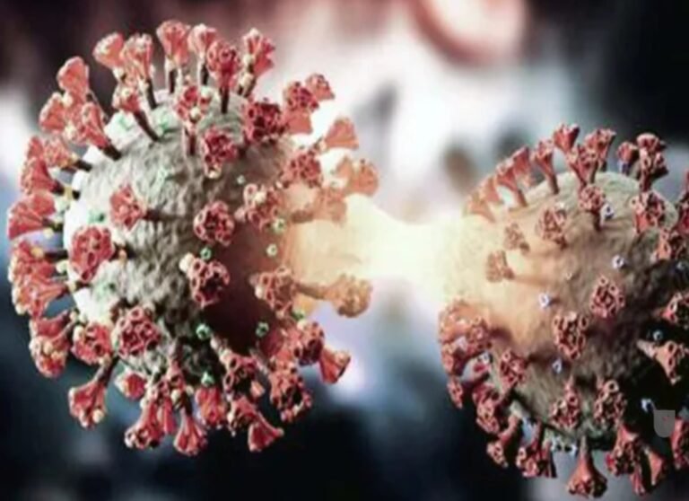 Una nueva variante de Covid-19 se propaga y ya hay casos en Argentina