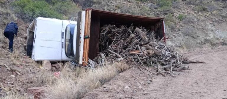 Un camión que transportaba leña se quedó sin frenos y volcó