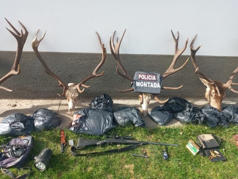 Secuestran más de 120 kg. de carne de ciervo, municiones y un arma