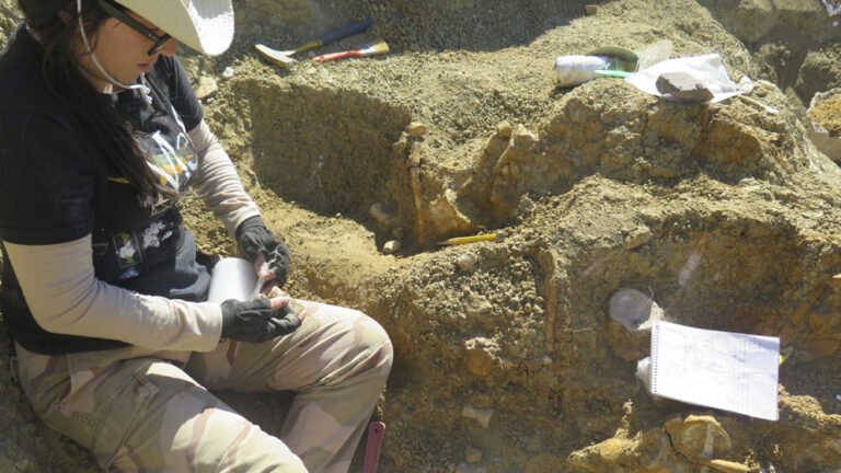 Salió a buscar un chivo perdido y volvió con un reptil prehistórico