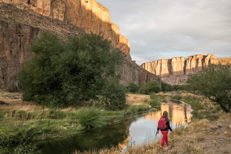 Los Cañadones en el noroeste de Santa Cruz: un mundo para descubrir 