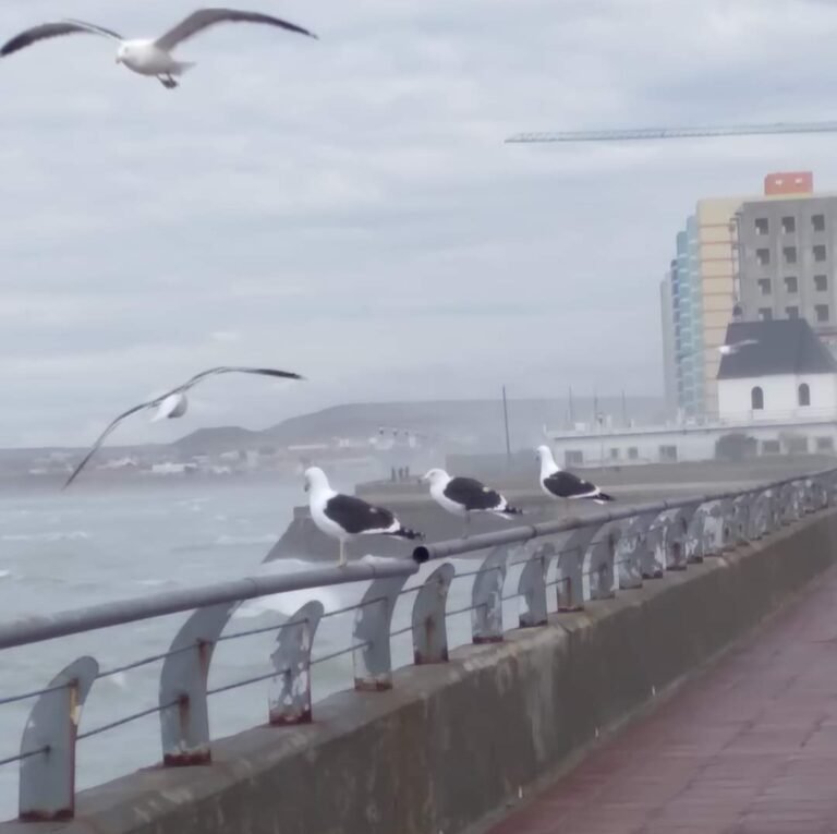 Miércoles nublado y ventoso