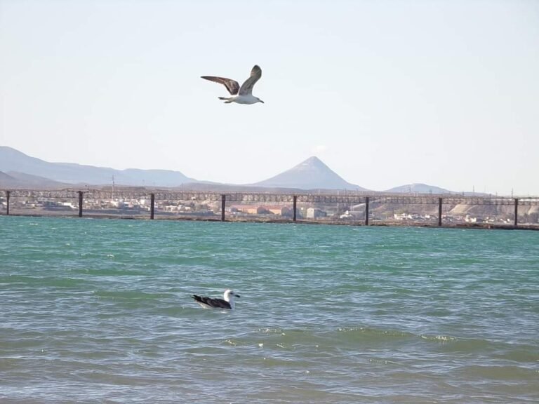 Miércoles con probabilidad de precipitaciones