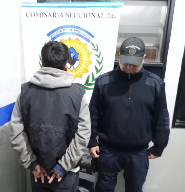 Vecinos lo atraparon in fraganti cuando robaba elementos del interior de un auto