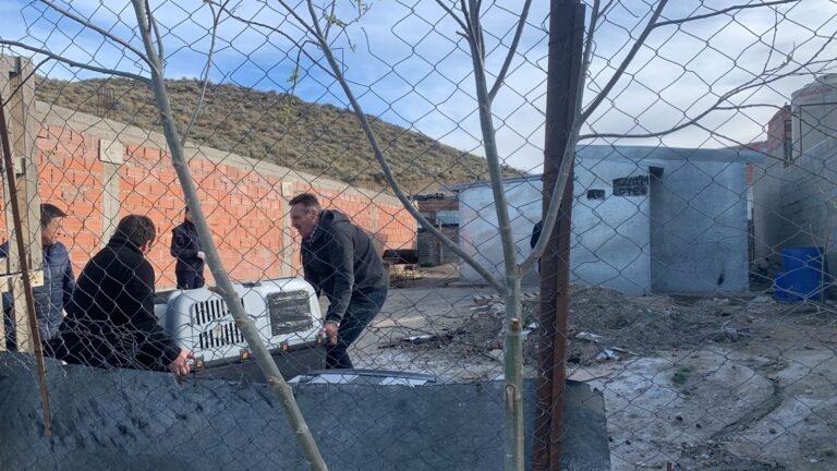 Por maltrato animal rescatan a dos perros raza pitbull