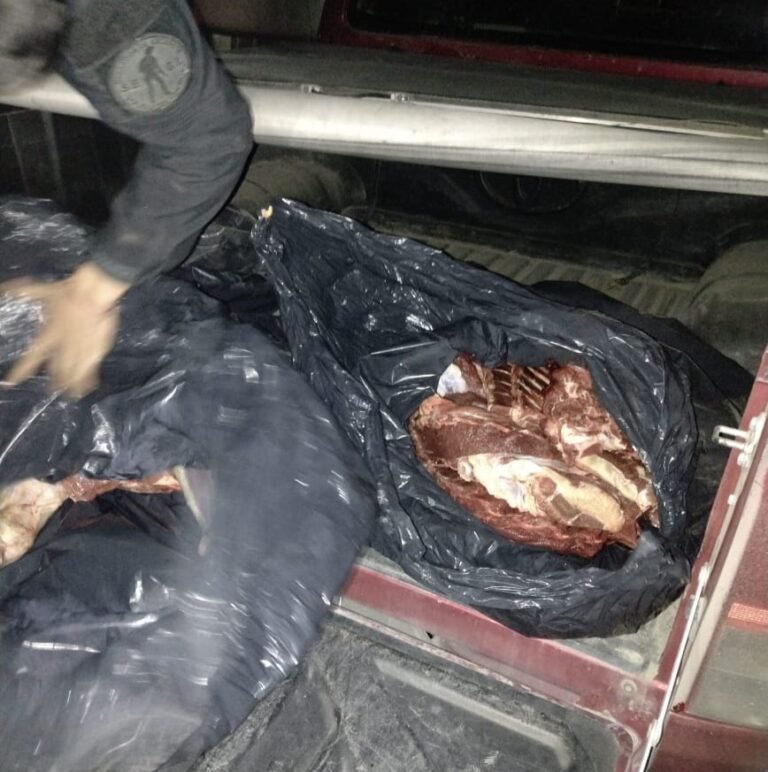 Decomisaron y destruyeron carne faenada
