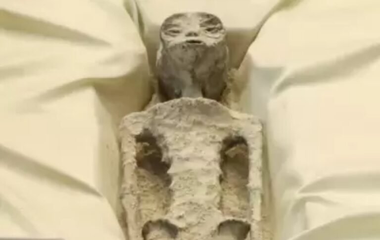 Calificaron de “engaño” a los cuerpos “no humanos” presentados en el Congreso mexicano