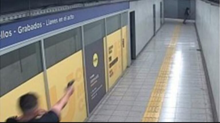 Declararon inimputable al hombre que mató a la policía en la estación del subte
