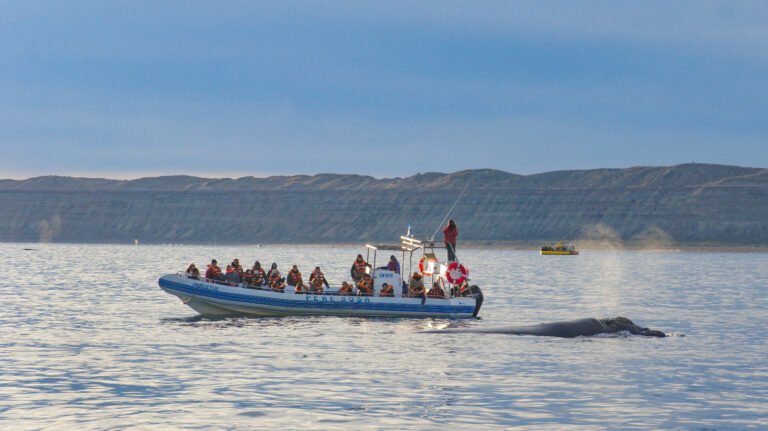 Chubut registró una ocupación promedio del 90% durante el fin de semana extra largo