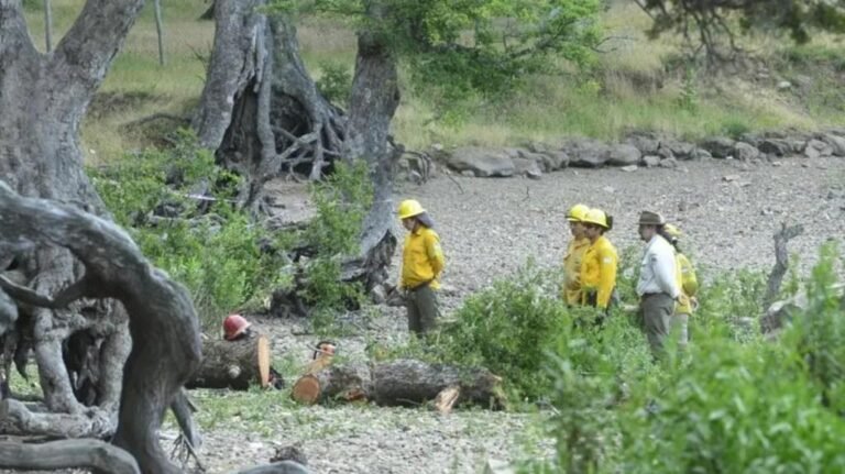 Tenían 2 y 7 años y murieron aplastados por un árbol a orillas del Lago Lácar