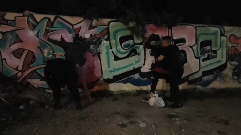 Dos detenidos por dañar una ventana e ingresar a robar en una vivienda