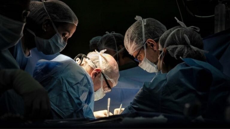Se realizó con éxito el trasplante de hígado número 1000 en el Hospital Garrahan