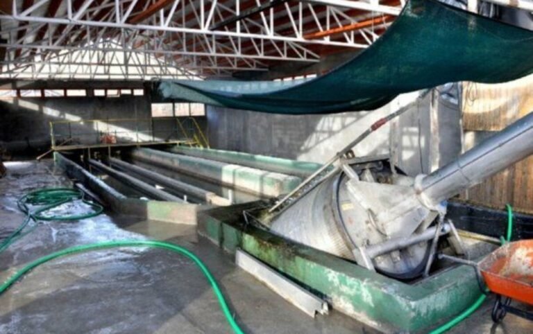 Esquel: encontraron un feto en una planta cloacal