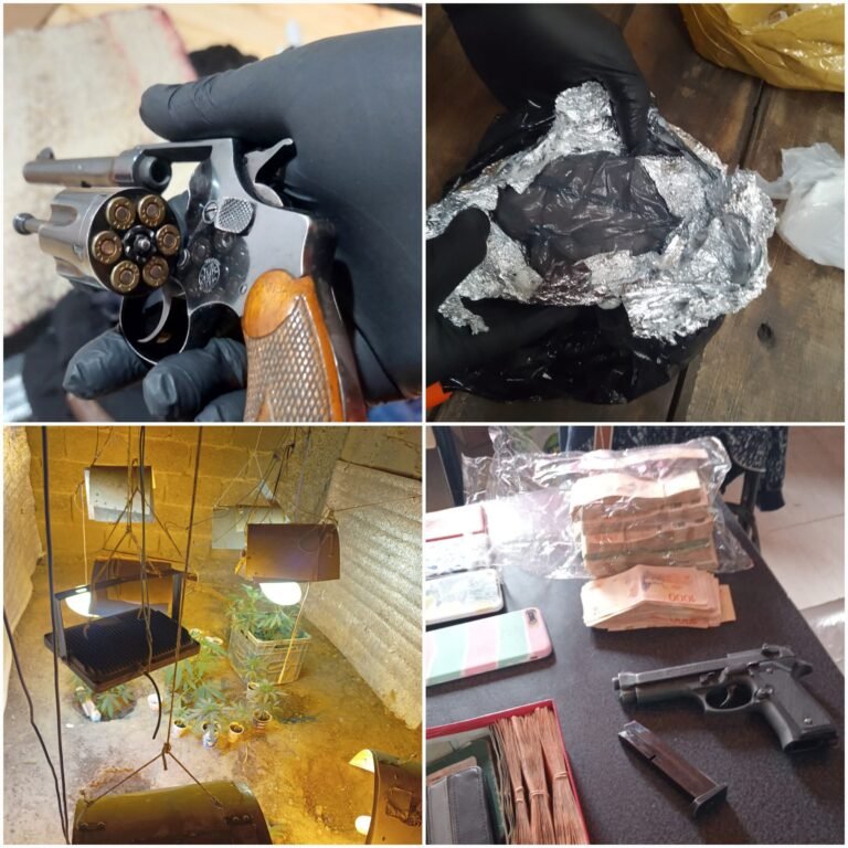 Tras meses de investigación, logran desbaratar una banda que distribuía estupefacientes