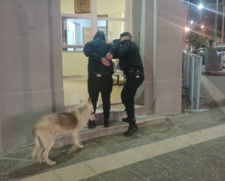 Sustrajo varios elementos de un vehículo y lo detuvieron