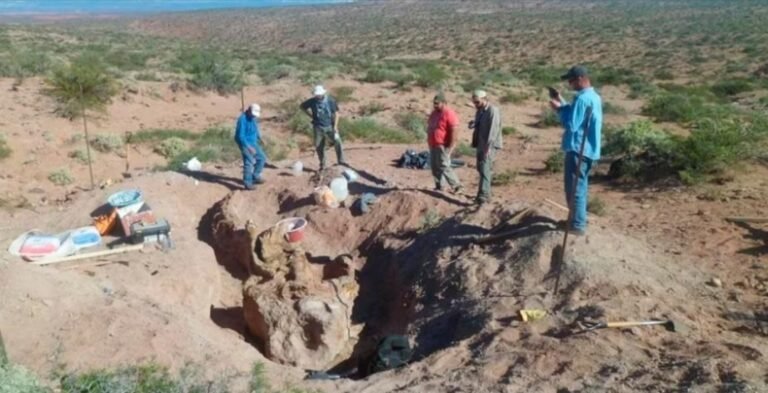 Encontraron un titanosauro casi completo en la Patagonia