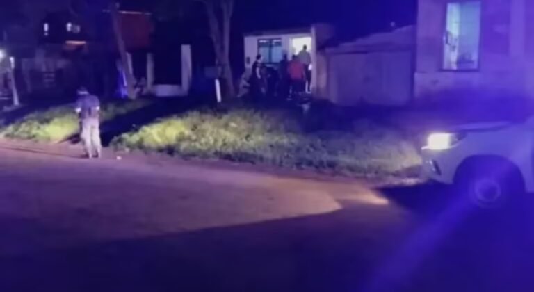 La reacción de una mujer después de matar a puñaladas a sus hijos