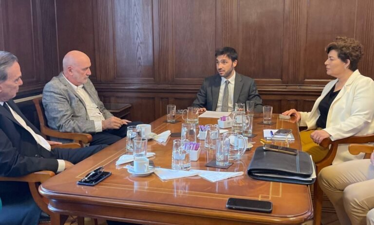 Torres pidió intervención a la Auditoría General de la Nación para transparentar la transición en la provincia